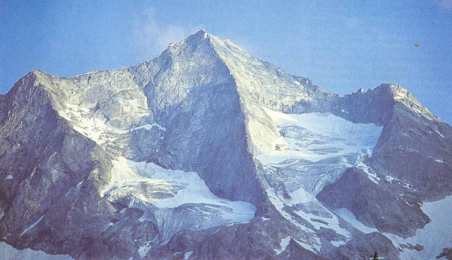 bg_image