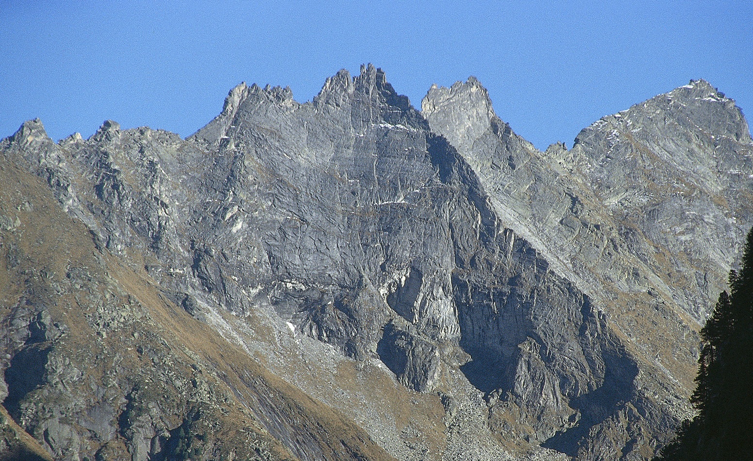 bg_image