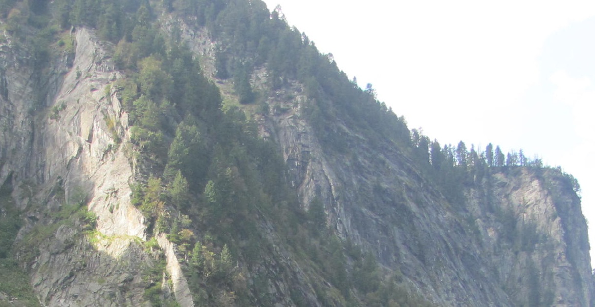 bg_image